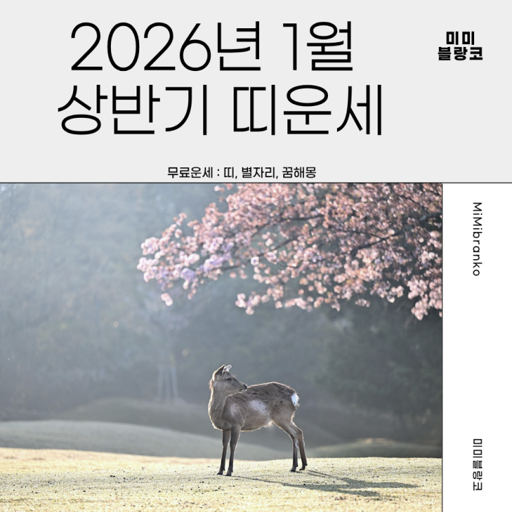  2026년 1월 상반기 띠별운세 총정리