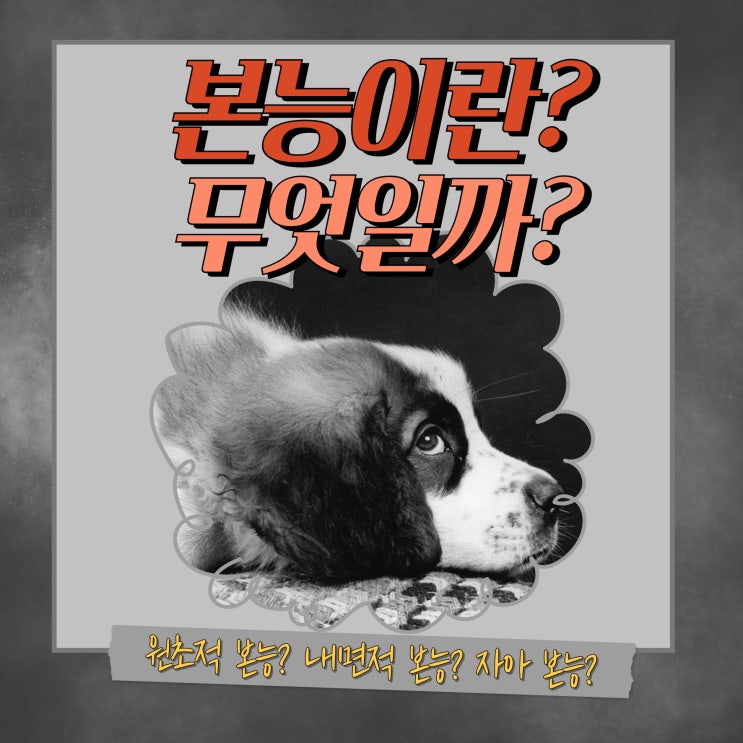  본능이란?