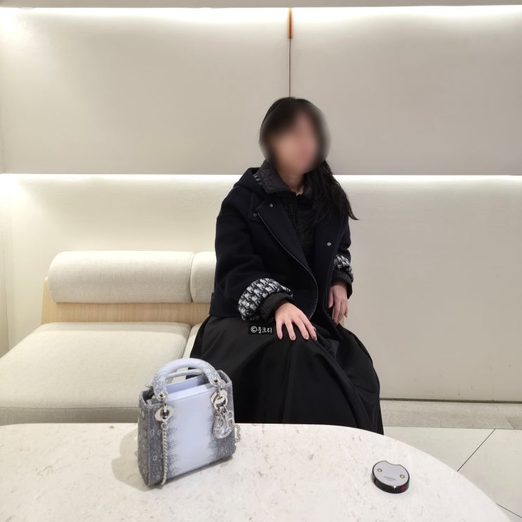  디올 레이디백 미니 리자드 히말라야 블루 레이디디올 가방