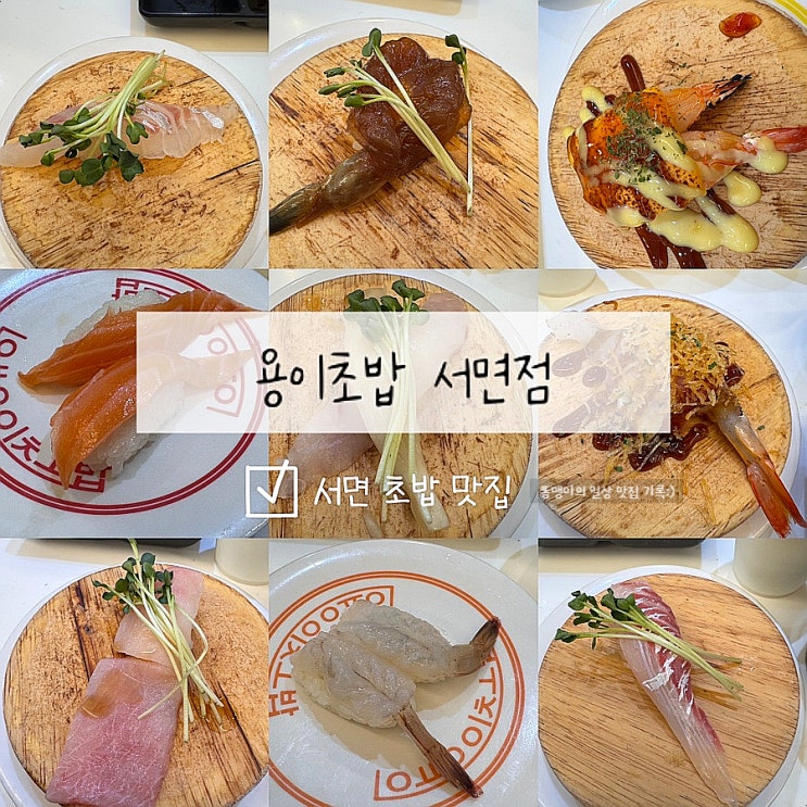  서면 초밥 맛집 용이초밥 서면점 회전초밥 내돈내산 솔직후기