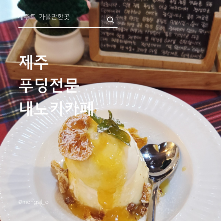  남원읍 귤따기체험 가능한 푸딩맛집