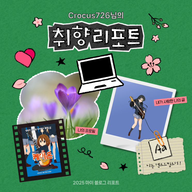  [2025 마이 블로그 리포트] 데이터로 채워보는 내 블로그 취향 리포트