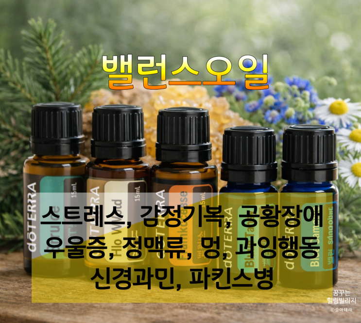  하루의 중심을 잡아주고 스트레스를 날려주는 향기 도테라 밸런스 아로마오일