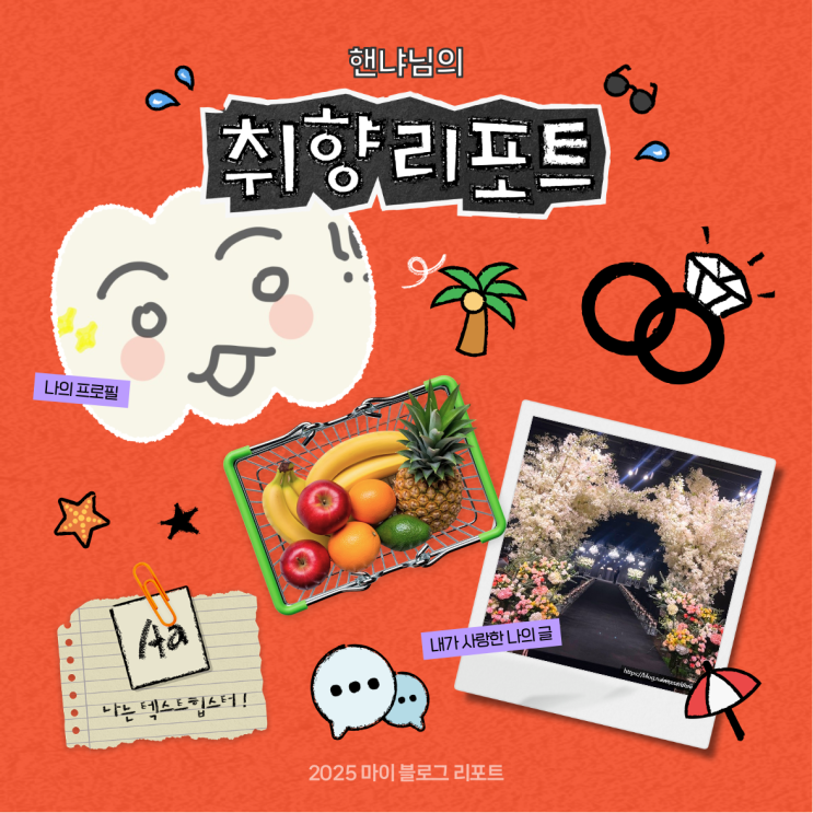  [2025 마이 블로그 리포트] 데이터로 채워보는 내 블로그 취향 리포트