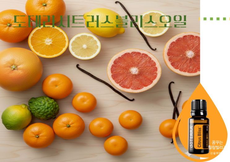  지친 내게 활력을 주는 감정오일 도테라 시트러스블리스 아로마오일