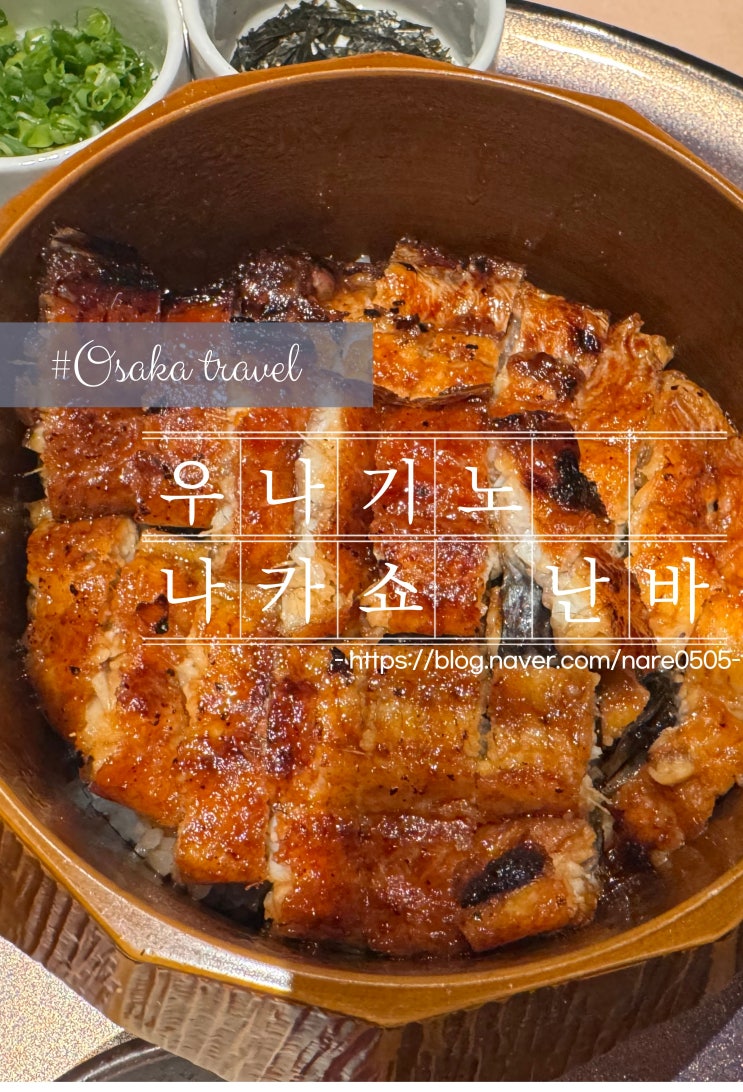  오사카 장어덮밥 히츠마부시 우나기노 나카쇼 난바점 うなぎの中庄 難波店
