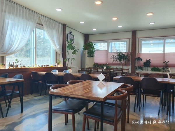 봄내예찬 사진 1