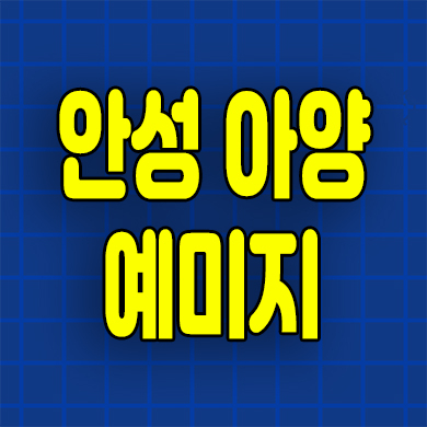  안성 아양지구 미분양아파트 옥산동 예미지 분양가 잔여세대