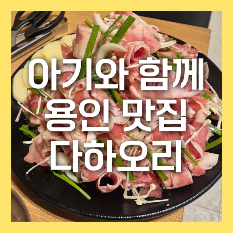  아기와 함께 먹기좋은 "다하오리 한터산더미오리구이" 용인 처인구 맛집 산더미오리불고기 솔직후기