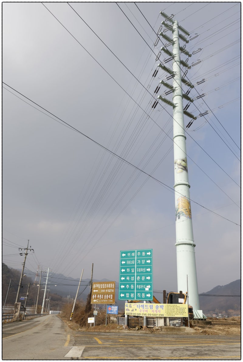 사진 2