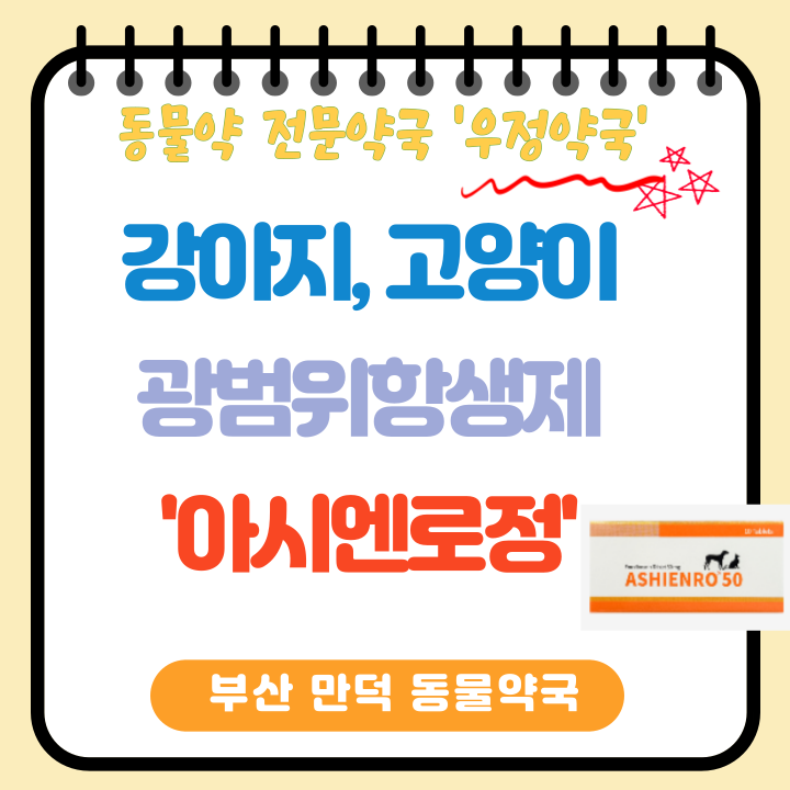 [부산동물약국] 강아지 고양이 호흡기감염, 방광염 항생제 '아시엔로정' (feat 엔로플록사신, ....