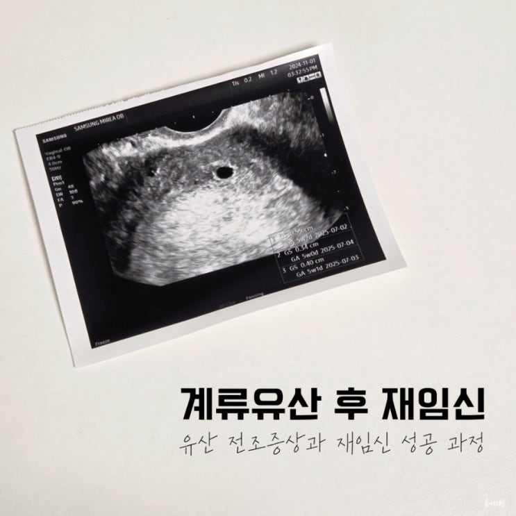  계류유산 증상과 재임신 성공 확률 높이는 방법