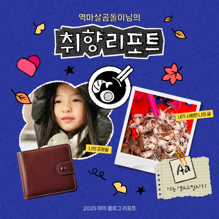  [2025 마이 블로그 리포트] 데이터로 채워보는 내 블로그 취향 리포트