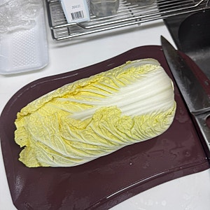 안매운 아기 김치 깍두기 만들기 초간단 레시피 - 파프리카가루 활용법  (아이가 잘먹는 레시....