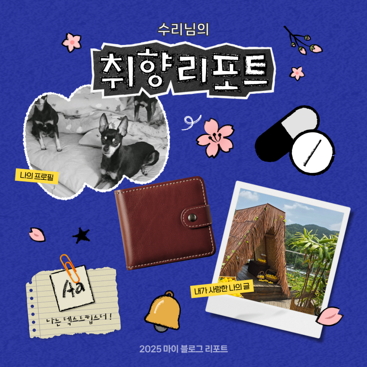  [2025 마이 블로그 리포트] 데이터로 채워보는 내 블로그 취향 리포트