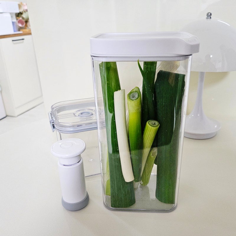 남은 야채 보관 다이소 진공 밀폐 용기 내돈내산 후기(사용법/가격)
