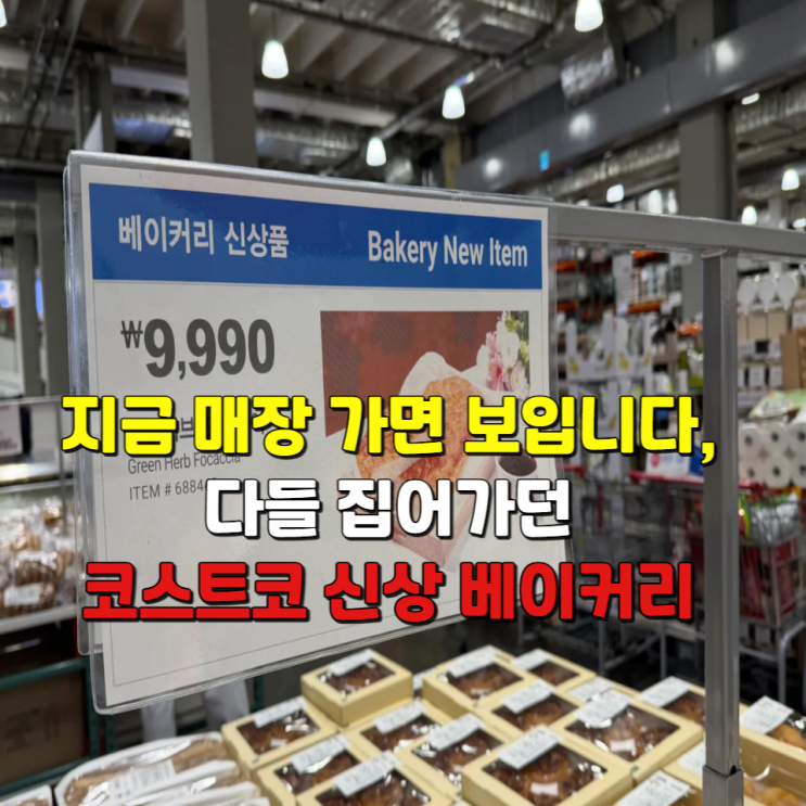  지금 매장 가면 보입니다, 다들 집어가던 코스트코 신상 베이커리