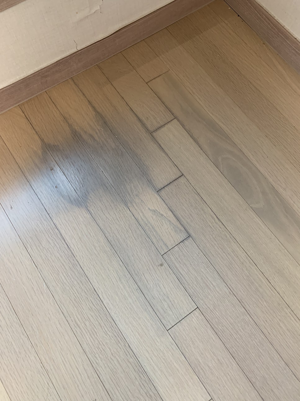 강마루보수 오염 변색 이사전에 해결해드립니다