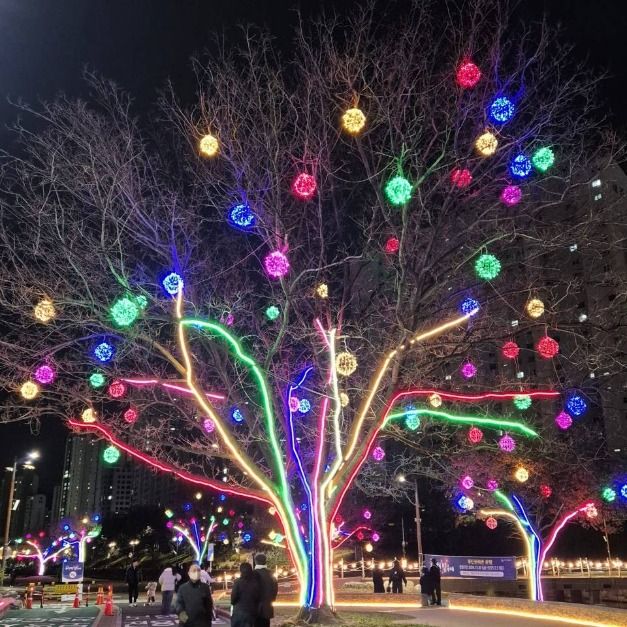  부산 야경 명소 추천 온천천 빛 축제 45일간의 낭만적인 기록