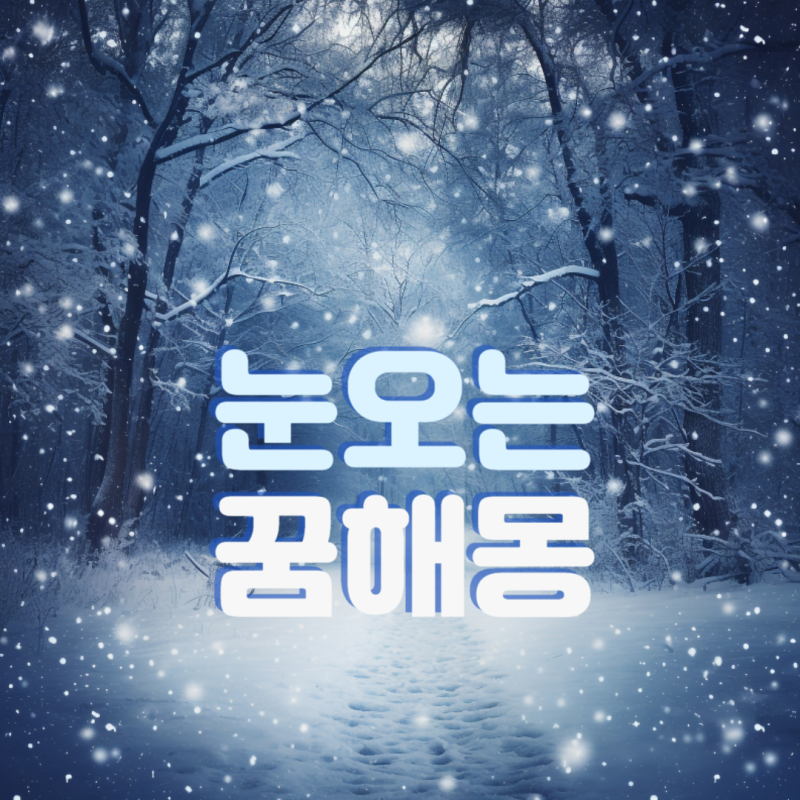 눈오는꿈해몽 눈많이온꿈 함박눈맞는꿈 눈치우는꿈은