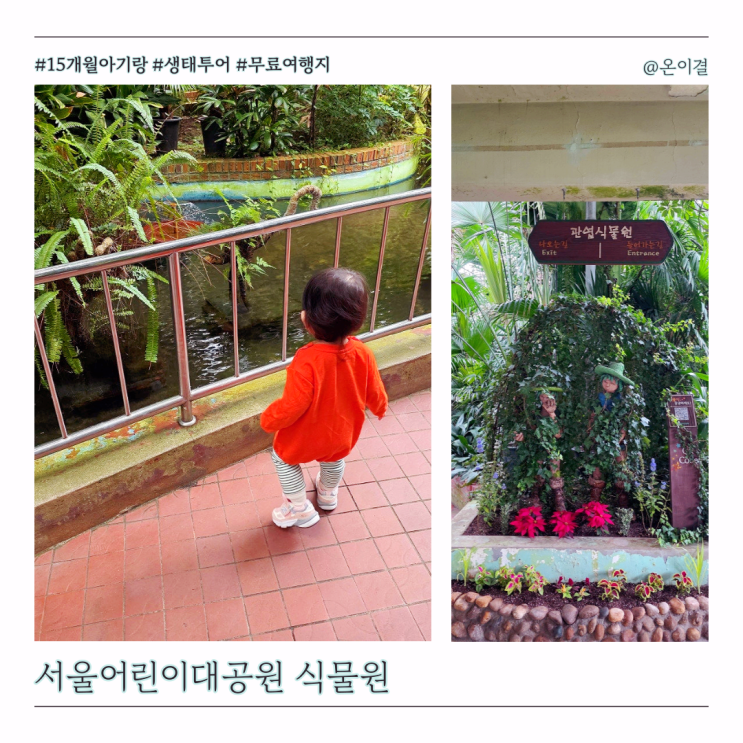  15개월 아기랑 무료 서울 실내여행지 서울어린이대공원 식물원