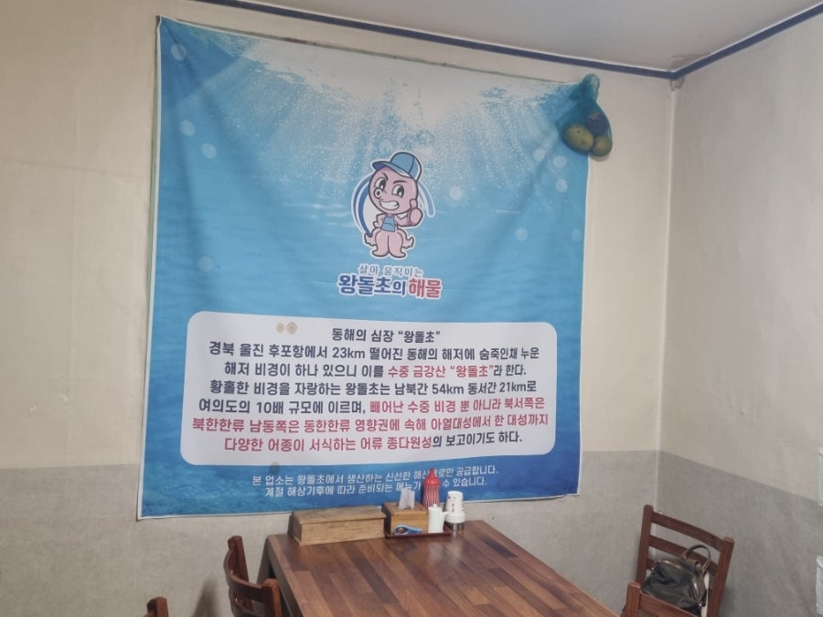 왕돌초 사진 6