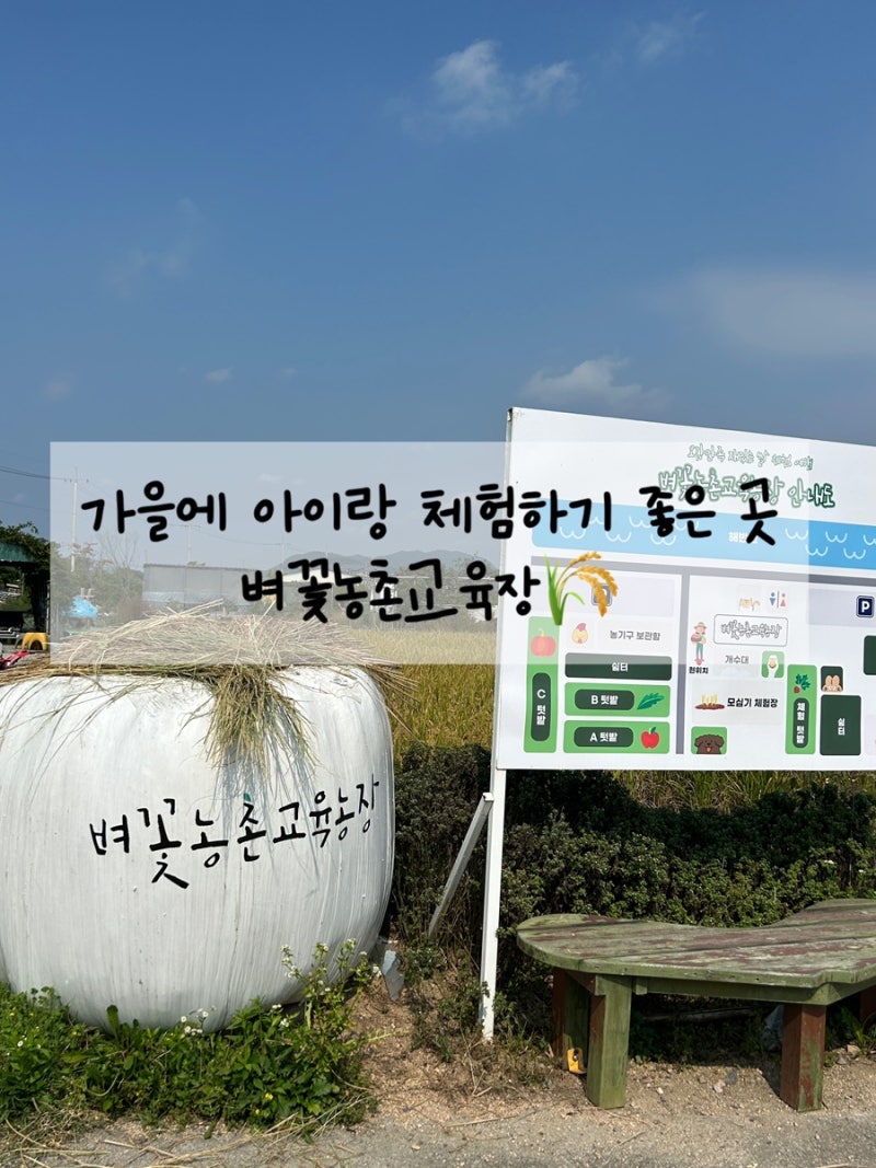 [김해]가을에 아이랑 체험하기 좋은 곳, 벼꽃농촌교육농장