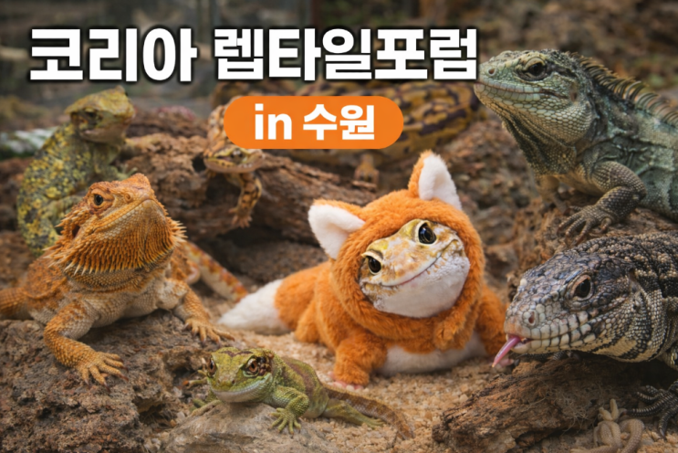  코리아 렙타일포럼 in 수원 기본정보 수원메쎄 주차요금