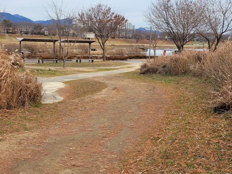  도장 종류와 용도 상황에 맞게 제대로 사용하기