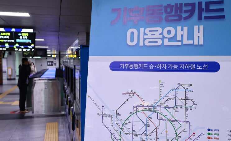  하루 72만명이 쓰는 ‘이 카드’… 청년 절반이 선택한 이유는?