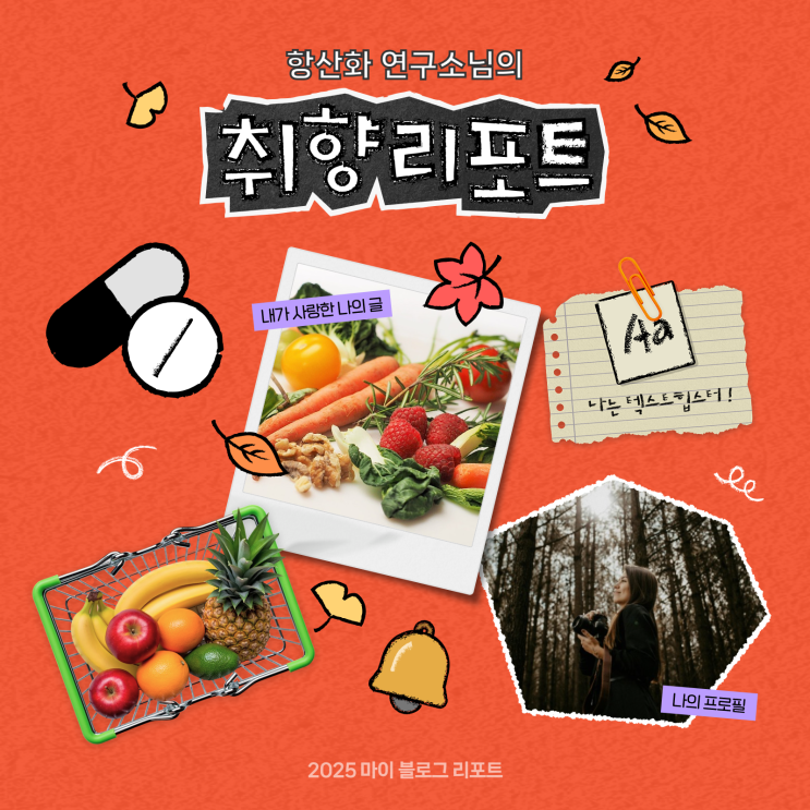  [2025 마이 블로그 리포트] 데이터로 채워보는 내 블로그 취향 리포트