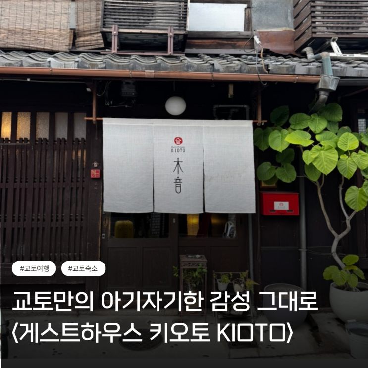  교토 숙소 추천 | 깔끔하고 감성적인 일본 현지식 숙소 <게스트하우스 키오토> (조식/분위기/실제후기)