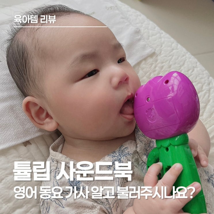 튤립 사운드북 영어 동요 가사 정리｜보라색 튤립 알고 불러주면 아이 반응이 달라요