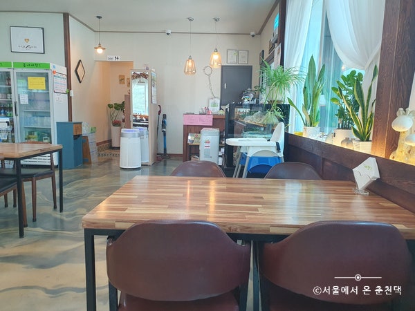 봄내예찬 사진 3