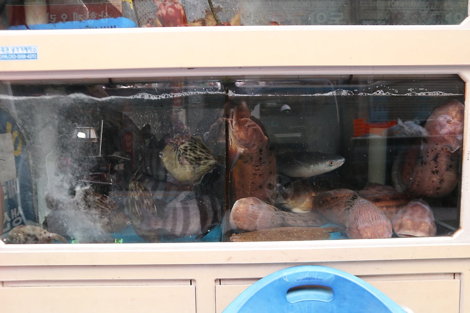 Eouryang photo 3