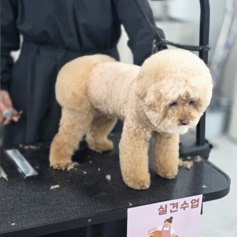 사진 7