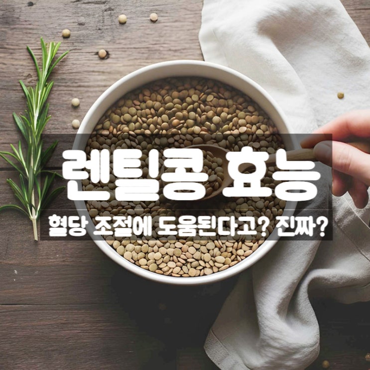  렌틸콩 효능 부작용 먹는법 – 혈당 낮은 콩으로 주목받는 이유