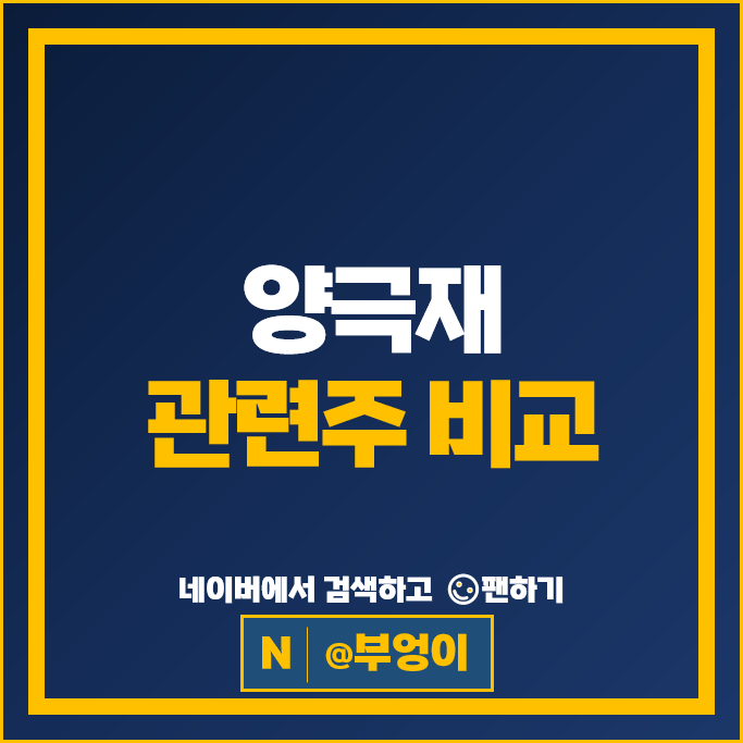 양극재 2차전지 관련주 나노신소재 에코프로비엠 주가 코스모화학 주식