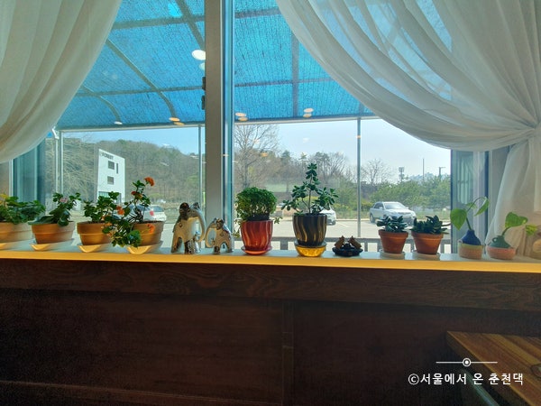 봄내예찬 사진 4