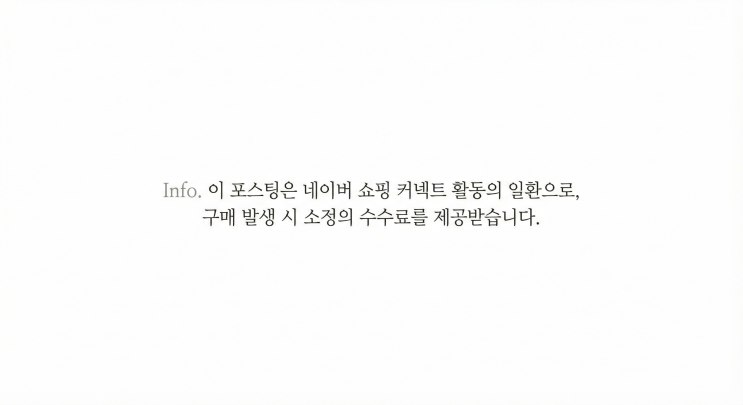  '두고 온 여름' 소개 및 리뷰