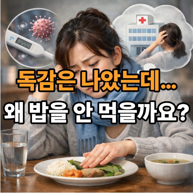  B형 독감 후 식욕 저하, 회복 과정일까? 병원 방문 기준 정리