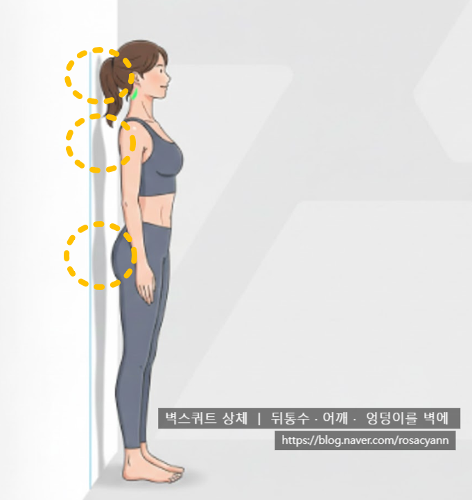 벽에 등 기대고 서 있기만 하세요? 벽스쿼트 효과 높이는 상체 자세 팁
