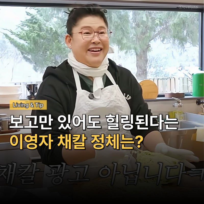 양배추 썰기 기계 놔두고 이영자가 애정하는 주방 꿀템! 채칼의 정체는?