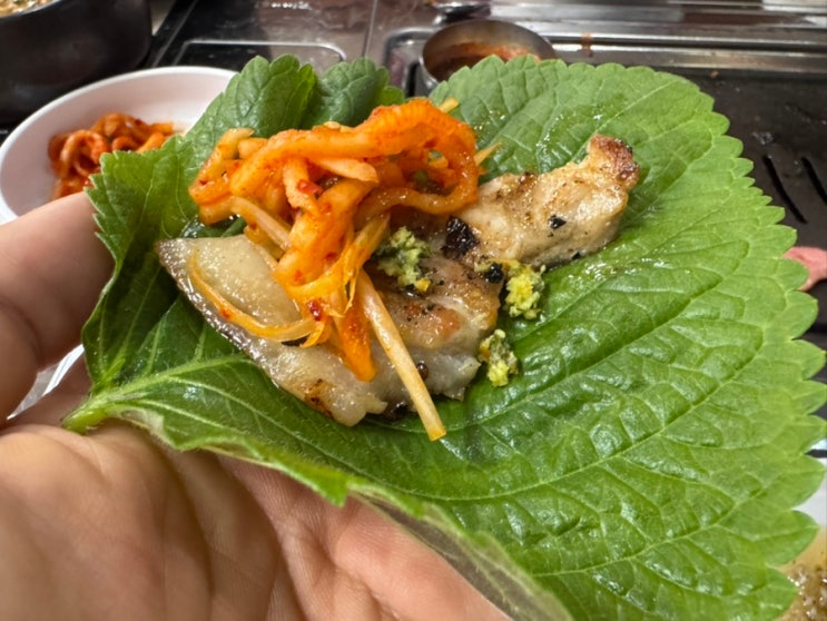  먹거리/독산/삼겹살] 독산동 맛집 삼겹살, <금백돈>