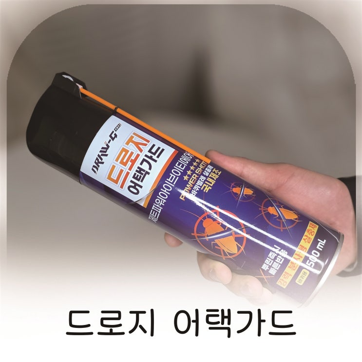  좀약 여러 번 실패하고 나서야 알게 된 진짜 좀벌레퇴치법
