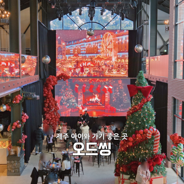  제주 오드씽 방문 후기｜크리스마스 감성 제대로 느낀 날