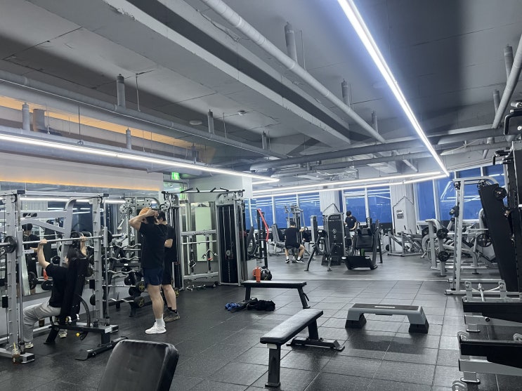  일광 PT 젬마짐 운동이 재밌어지게 된 진짜 비결