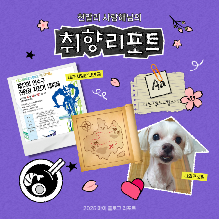  [2025 마이 블로그 리포트] 데이터로 채워보는 내 블로그 취향 리포트