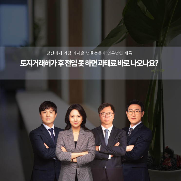  토지거래허가 후 전입 못 하면 과태료 바로 나오나요?