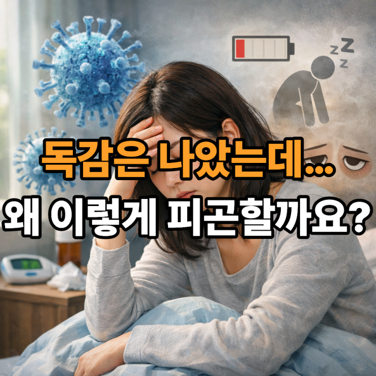  B형 독감 회복 후 피로가 오래 가는 이유, 그냥 넘기면 안 되는 신호